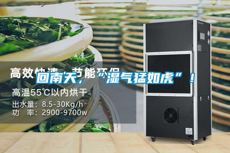 回南天，“湿气猛如虎”！