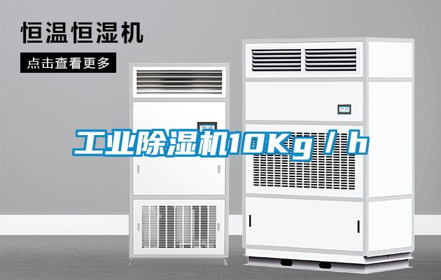工业草莓视频黄色在线观看机10Kg／h