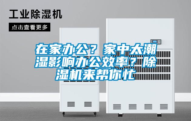 在家办公？家中太潮湿影响办公效率？草莓视频黄色在线观看机来帮你忙