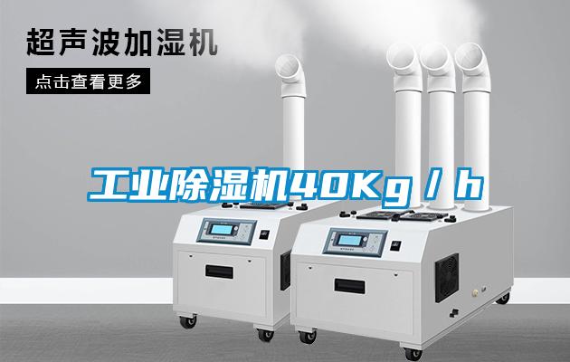 工业草莓视频黄色在线观看机40Kg／h
