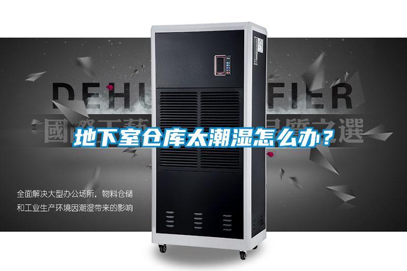 地下室仓库太潮湿怎么办？