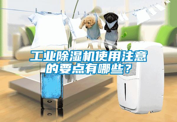 工业草莓视频黄色在线观看机使用注意的要点有哪些？
