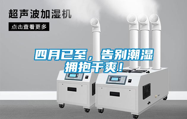 四月已至，告别潮湿拥抱干爽！