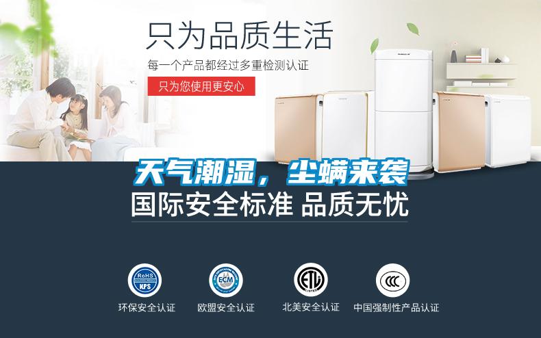 天气潮湿，尘螨来袭