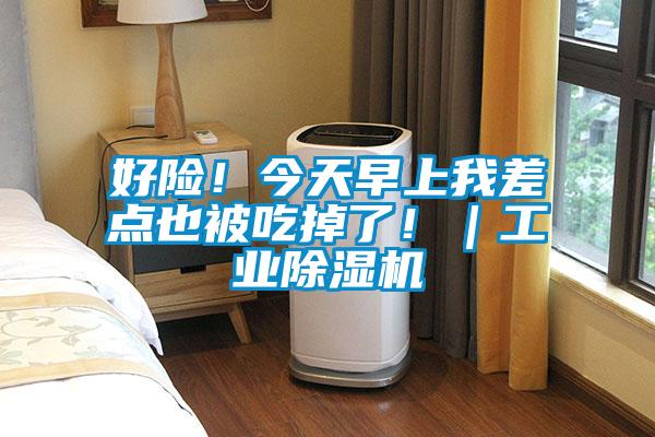 好险！今天早上我差点也被吃掉了！｜工业草莓视频黄色在线观看机