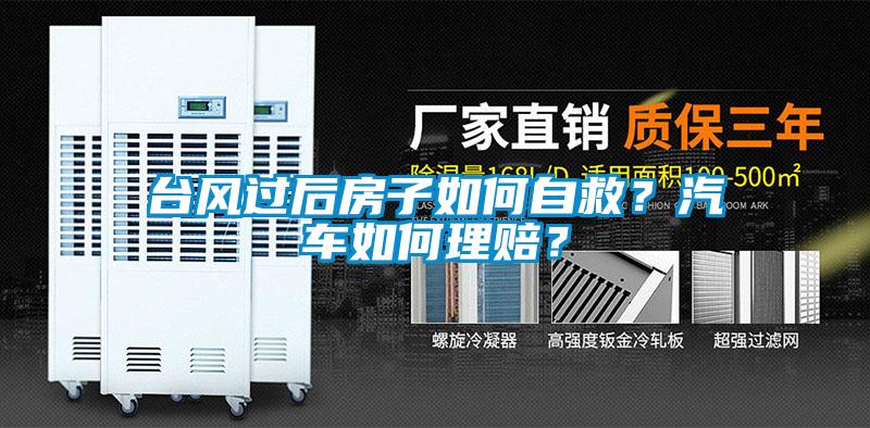 台风过后房子如何自救？汽车如何理赔？