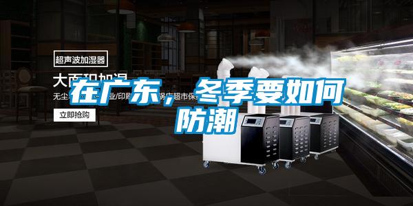 在广东，冬季要如何防潮