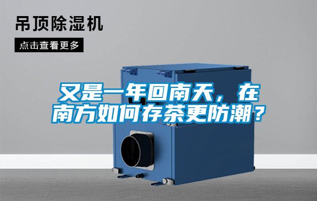 又是一年回南天，在南方如何存茶更防潮？
