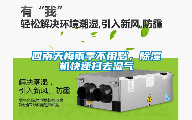 回南天梅雨季不用愁，草莓视频黄色在线观看机快速扫去湿气