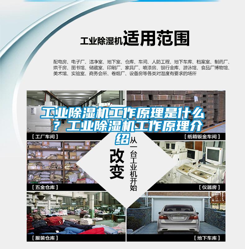 工业草莓视频黄色在线观看机工作原理是什么 ？工业草莓视频黄色在线观看机工作原理介绍