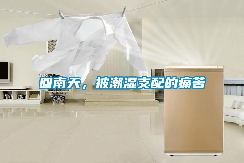 回南天，被潮湿支配的痛苦