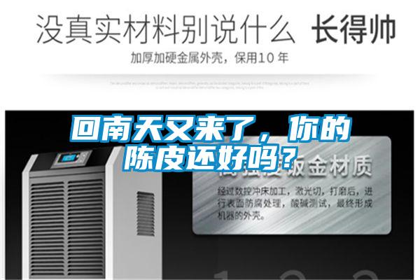 回南天又来了，你的陈皮还好吗？