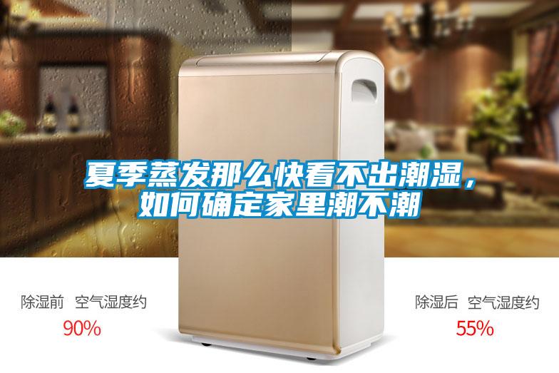 夏季蒸发那么快看不出潮湿，如何确定家里潮不潮
