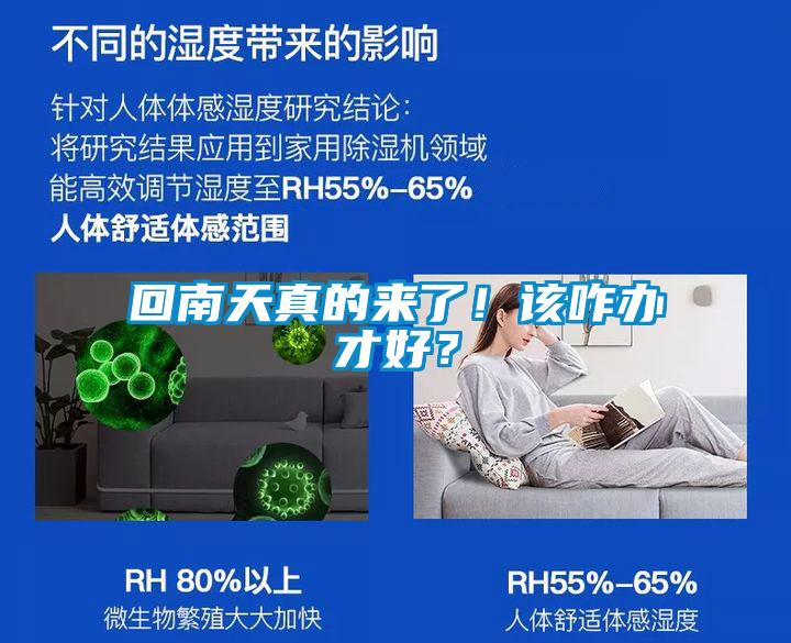 回南天真的来了！该咋办才好？