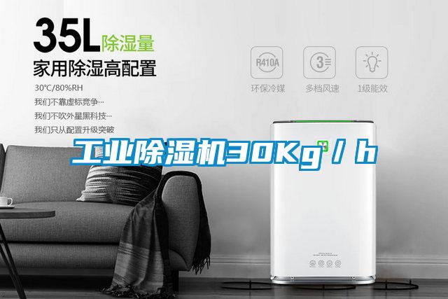 工业草莓视频黄色在线观看机30Kg／h