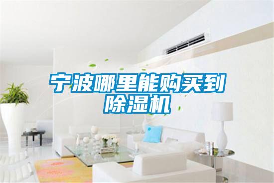 宁波哪里能购买到草莓视频黄色在线观看机