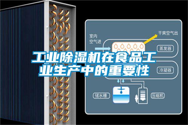 工业草莓视频黄色在线观看机在食品工业生产中的重要性