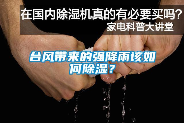 台风带来的强降雨该如何草莓视频黄色在线观看？