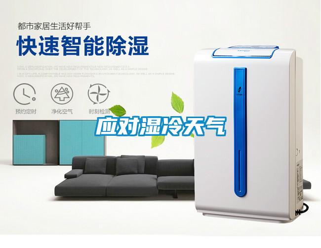应对湿冷天气