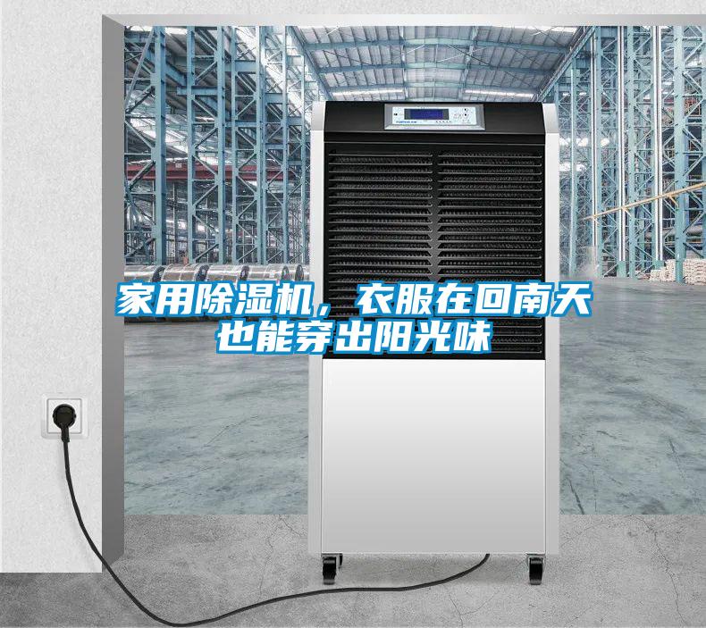 家用草莓视频黄色在线观看机，衣服在回南天也能穿出阳光味