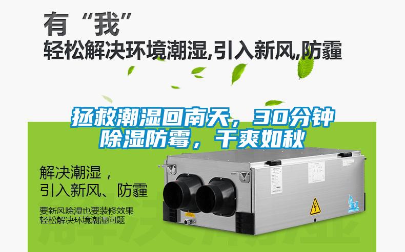 拯救潮湿回南天，30分钟草莓视频黄色在线观看防霉，干爽如秋