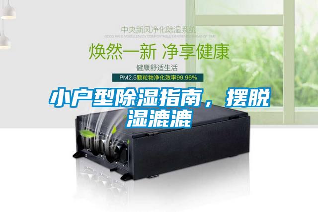 小户型草莓视频黄色在线观看指南，摆脱湿漉漉