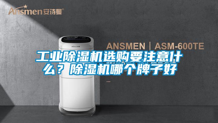工业草莓视频黄色在线观看机选购要注意什么？草莓视频黄色在线观看机哪个牌子好