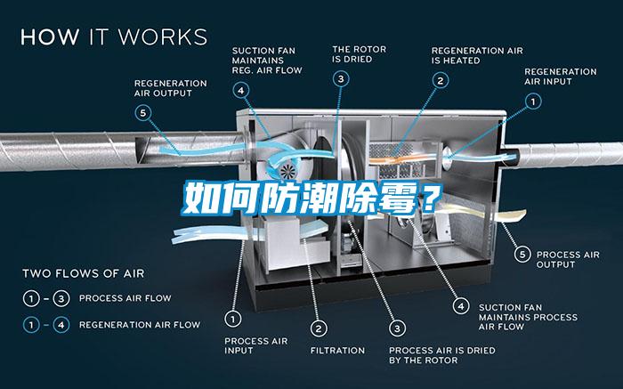 如何防潮除霉？