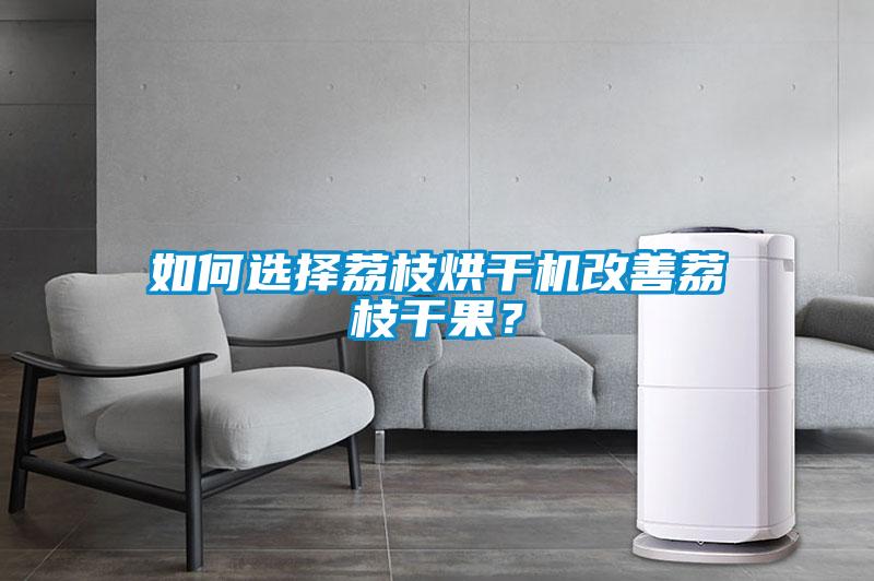如何选择荔枝烘干机改善荔枝干果？