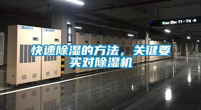 快速草莓视频黄色在线观看的方法，关键要买对草莓视频黄色在线观看机