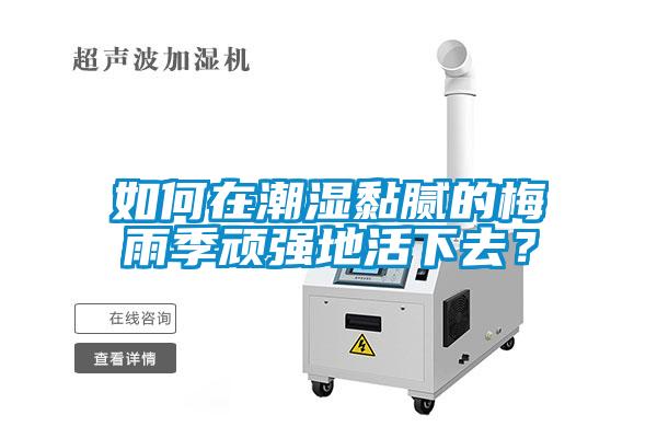 如何在潮湿黏腻的梅雨季顽强地活下去？