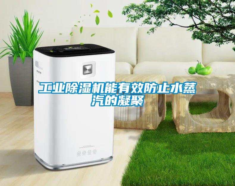 工业草莓视频黄色在线观看机能有效防止水蒸汽的凝聚