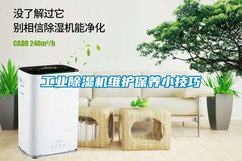 工业草莓视频黄色在线观看机维护保养小技巧