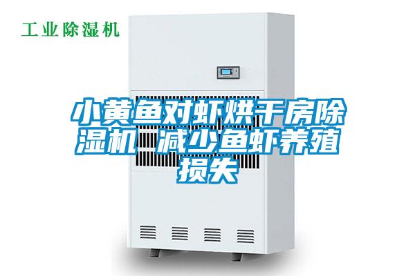 小黄鱼对虾烘干房草莓视频黄色在线观看机 减少鱼虾养殖损失