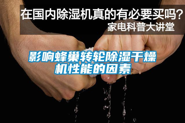 影响蜂巢转轮草莓视频黄色在线观看干燥机性能的因素