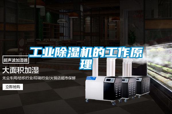 工业草莓视频黄色在线观看机的工作原理