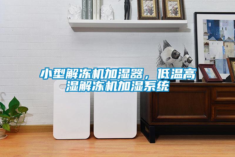 小型解冻机加湿器，低温高湿解冻机加湿系统