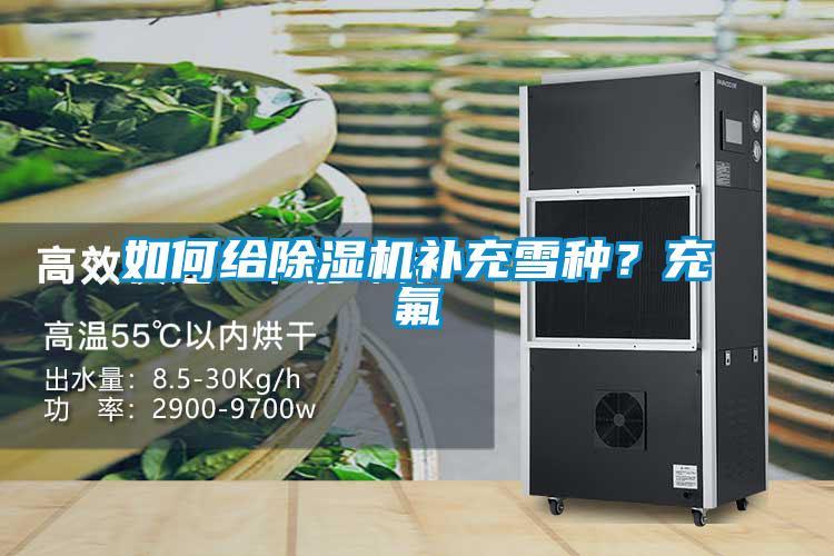 如何给草莓视频黄色在线观看机补充雪种？充氟