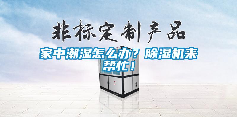 家中潮湿怎么办？草莓视频黄色在线观看机来帮忙！