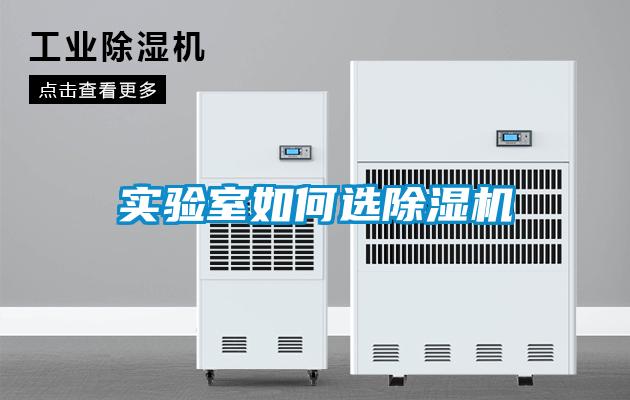 实验室如何选草莓视频黄色在线观看机