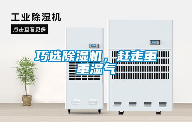 巧选草莓视频黄色在线观看机，赶走重重湿气