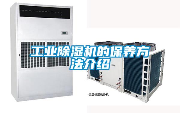 工业草莓视频黄色在线观看机的保养方法介绍