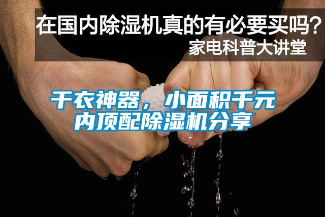 干衣神器，小面积千元内顶配草莓视频黄色在线观看机分享