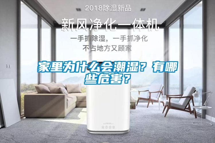 家里为什么会潮湿？有哪些危害？