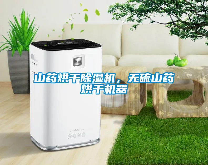 山药烘干草莓视频黄色在线观看机，无硫山药烘干机器