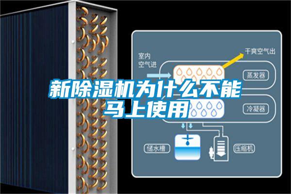 新草莓视频黄色在线观看机为什么不能马上使用