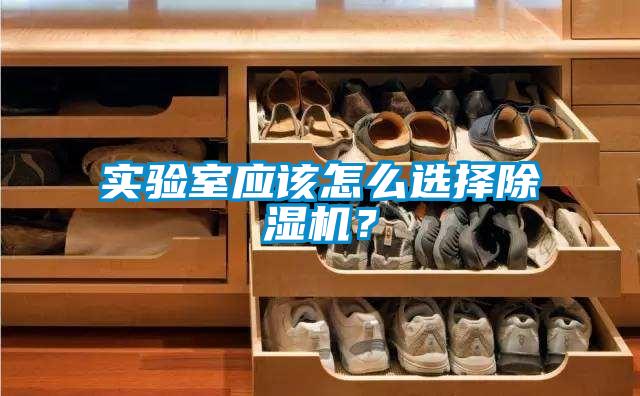 实验室应该怎么选择草莓视频黄色在线观看机？