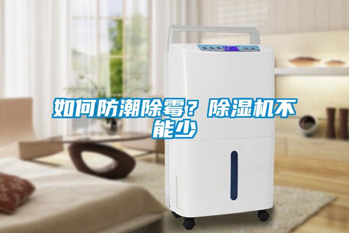 如何防潮除霉？草莓视频黄色在线观看机不能少