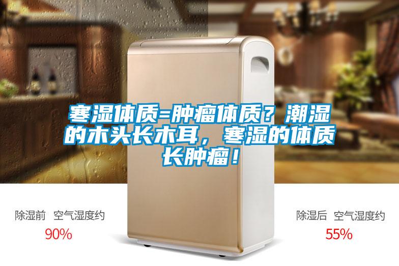 寒湿体质=肿瘤体质？潮湿的木头长木耳，寒湿的体质长肿瘤！