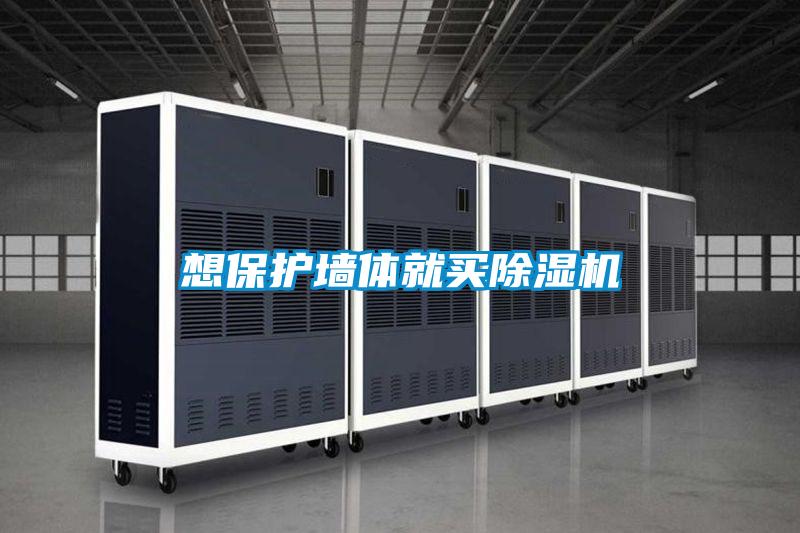 想保护墙体就买草莓视频黄色在线观看机
